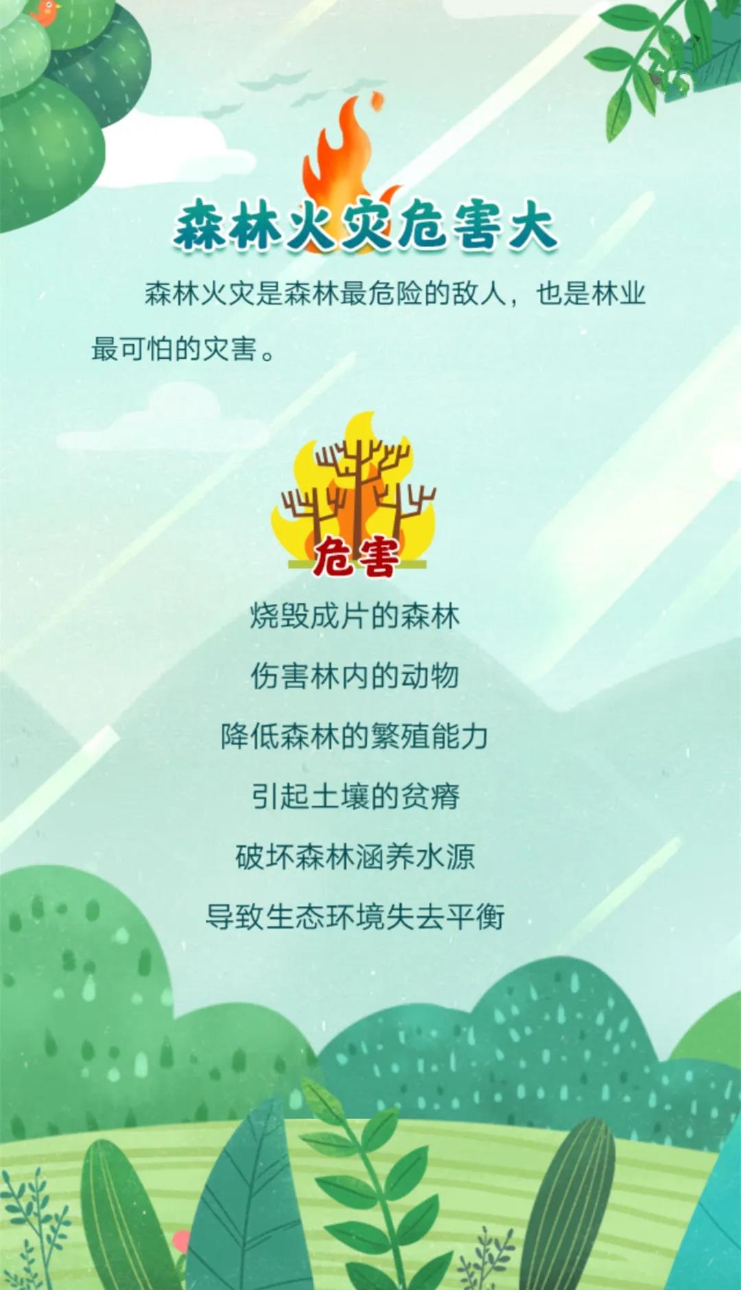 1584667162114180.jpg 2.jpg