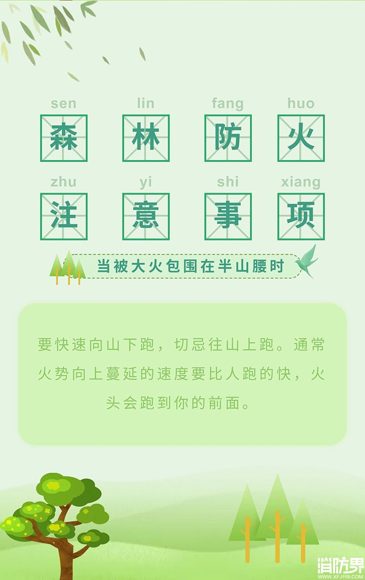 1584927563106335.jpg 4.jpg