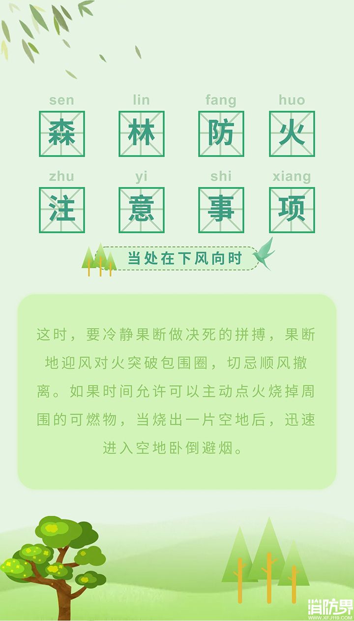 1584927571199624.jpg 5.jpg