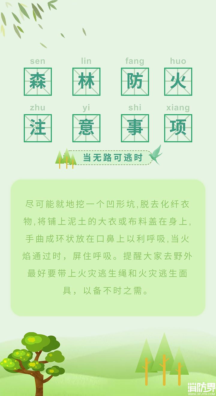 1584927581814548.jpg 6.jpg